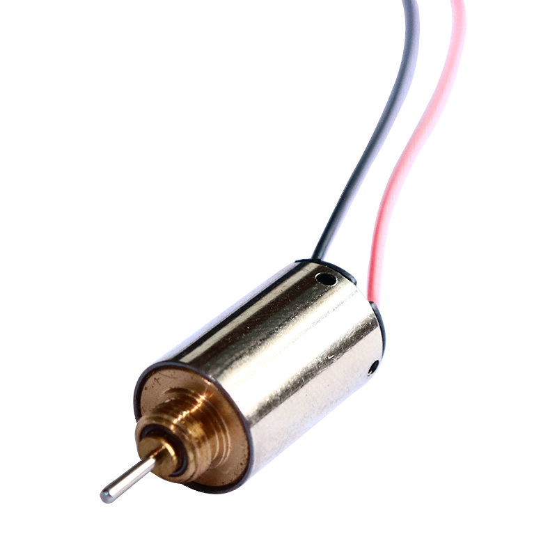 10 mm Qiymətli Metal Fırça DC Motor